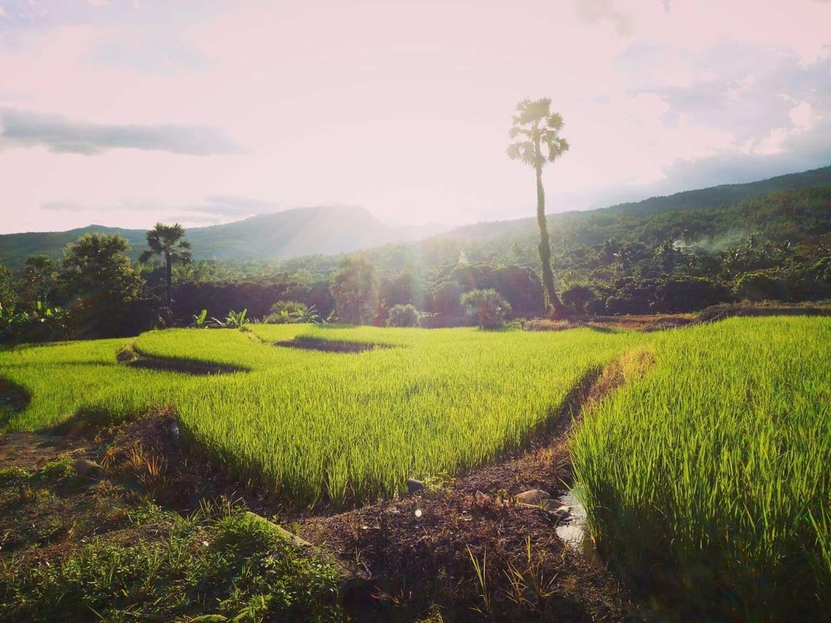Suan Sook Homestay Чом Тхонг Экстерьер фото